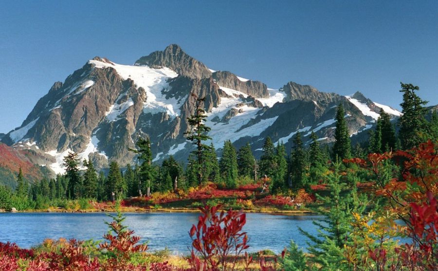 韓國仁荷大學(xué)圖片