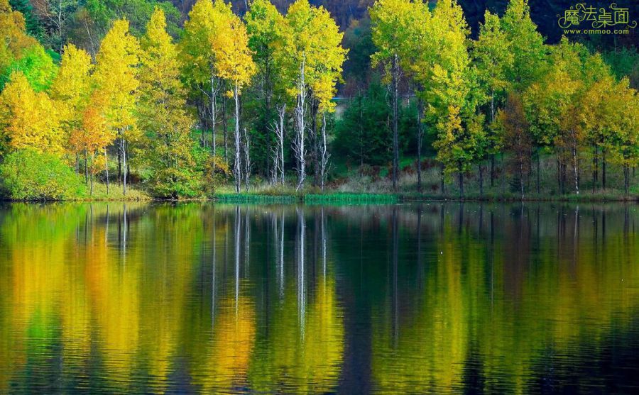 加達(dá)云霄樂(lè)園圖片