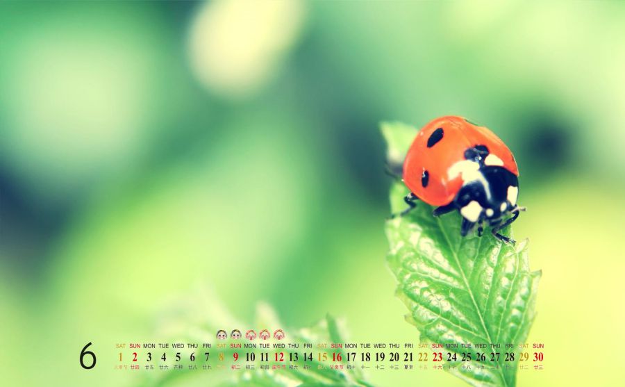 西德意志匯報(bào)圖片