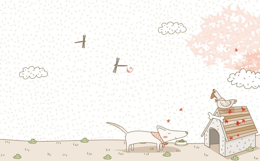 也門駐華大使館圖片