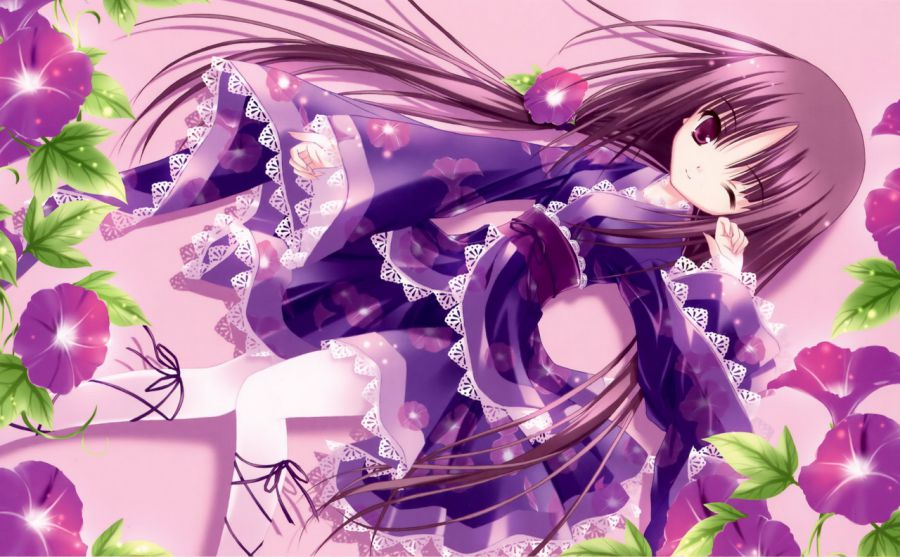 帕拉茨基大學圖片