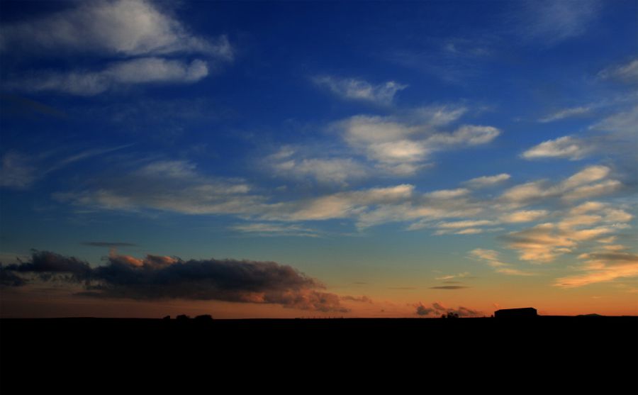 我的貓恨你圖片
