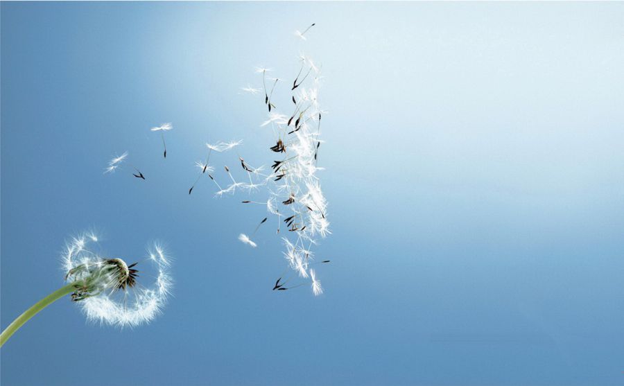 安華高科技圖片