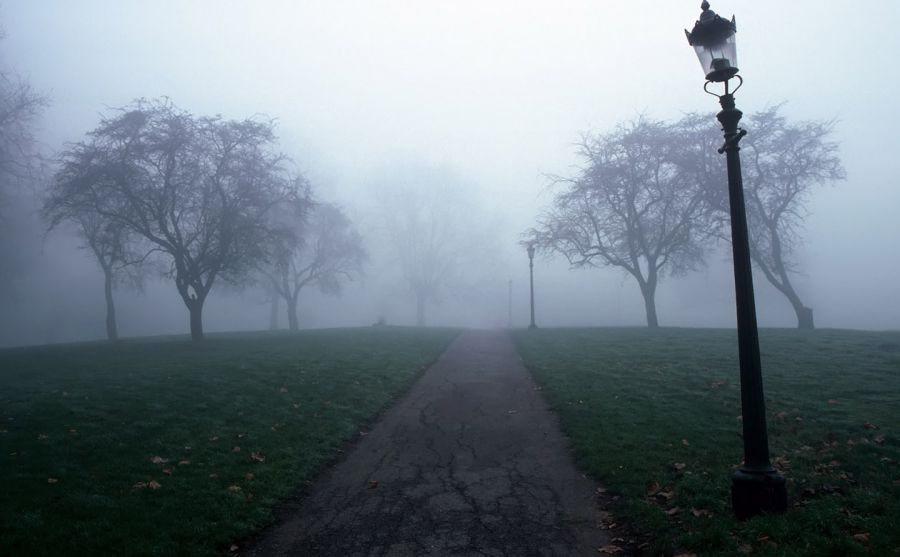 達(dá)西亞汽車公司圖片