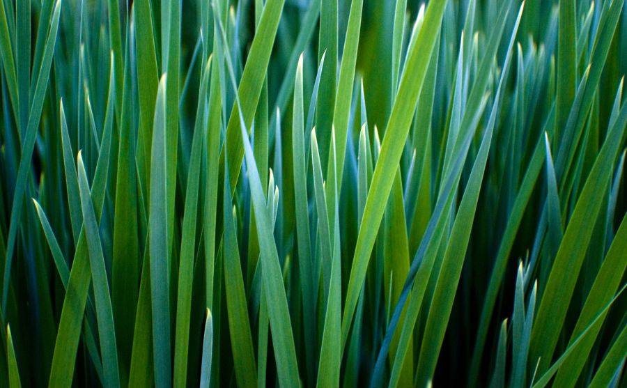 拉科魯尼亞大學(xué)圖片