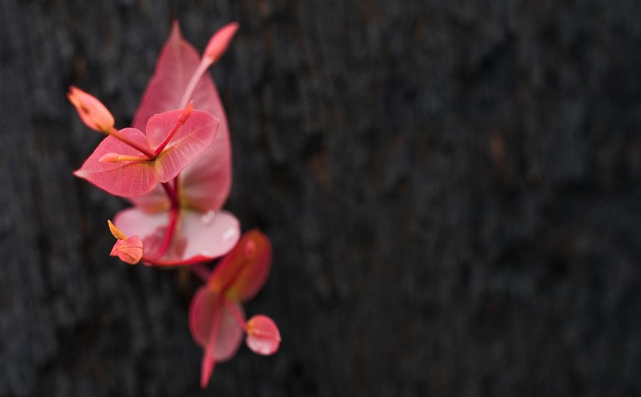 露天看臺報道圖片