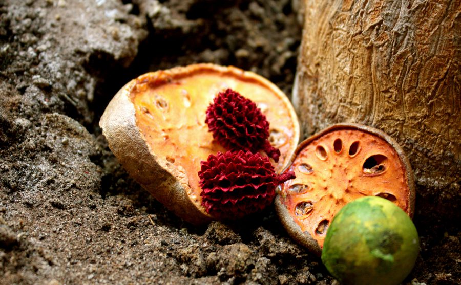 OBRAZOVANIE教育圖片