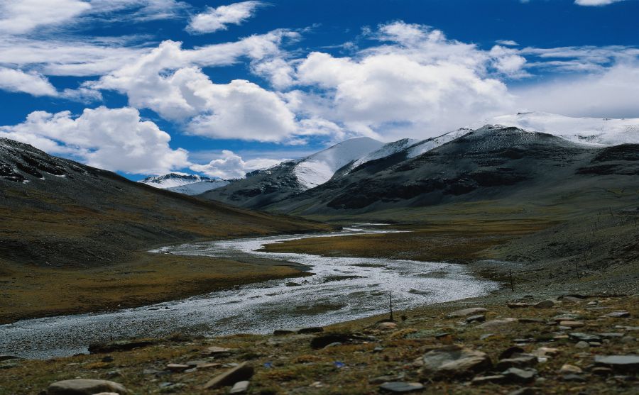 底特律活塞隊(duì)圖片