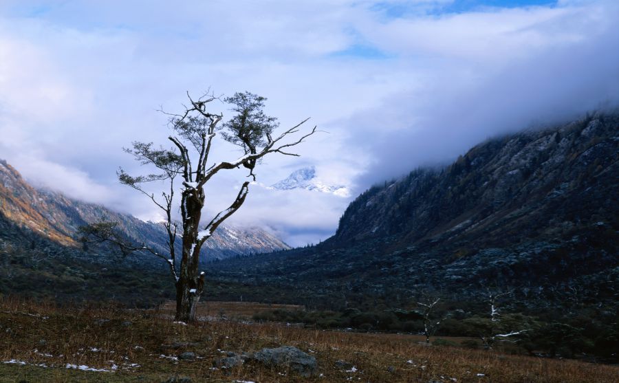 富達(dá)國(guó)民信息服務(wù)公司圖片