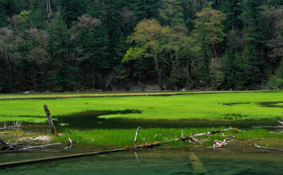 全北國立大學(xué)圖片