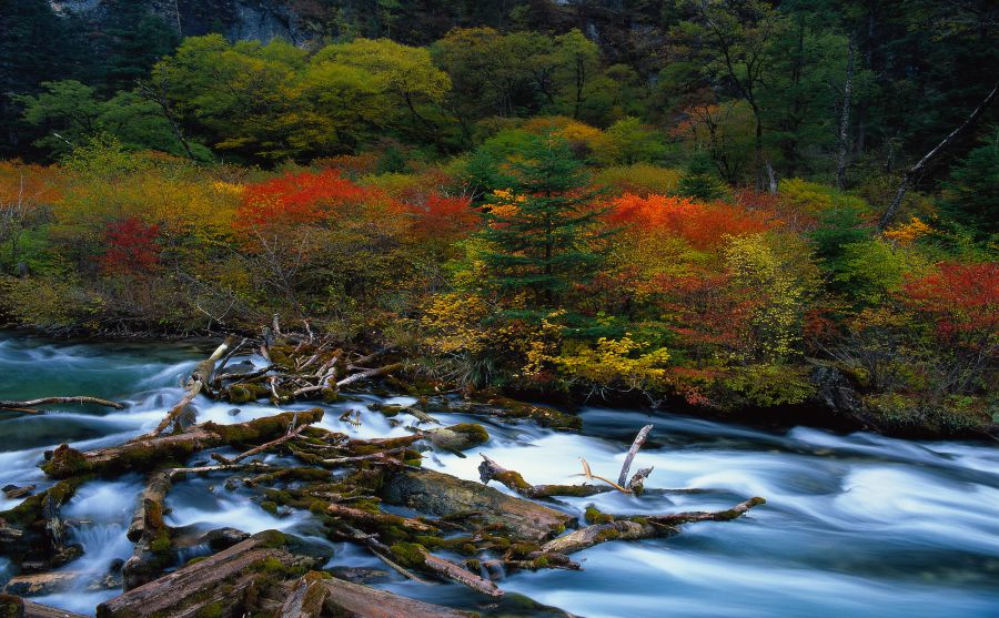 今日心理學(xué)（Psychology Today）圖片