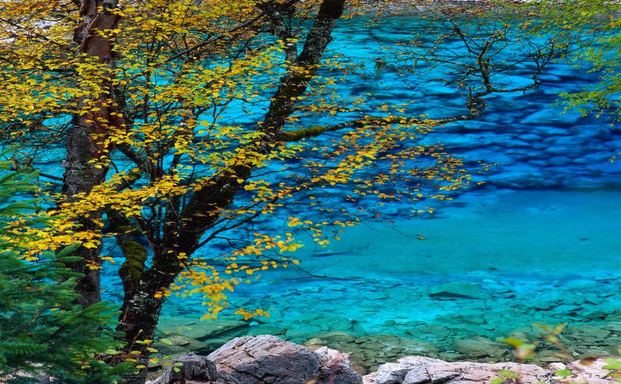 《奧德賽》雜志圖片