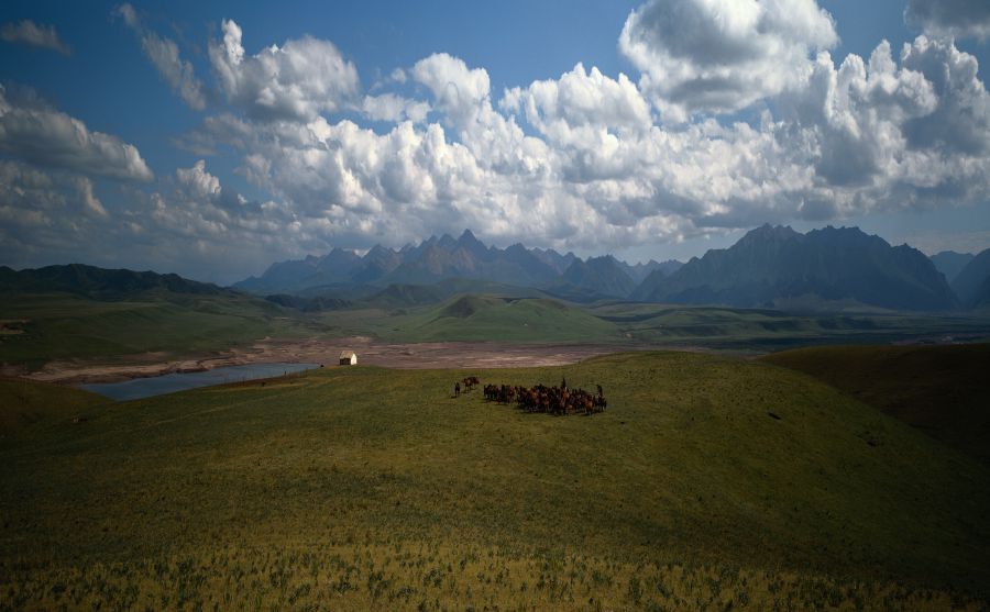 法國文化協(xié)會圖片