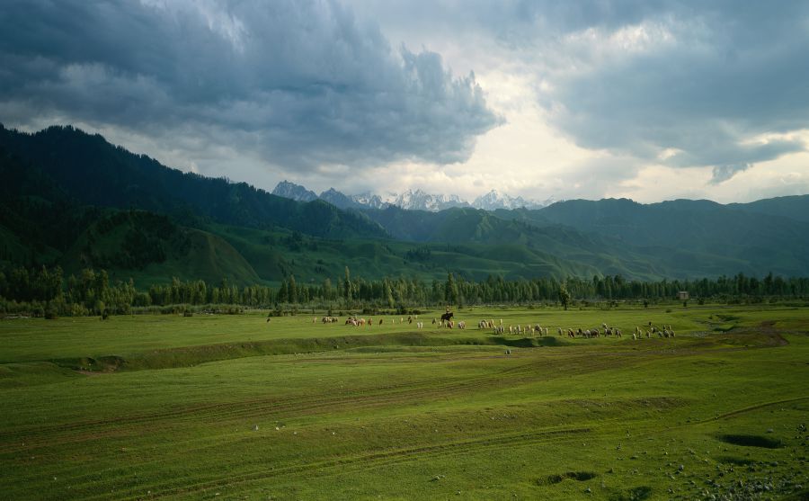 莫斯科斯巴達(dá)克圖片