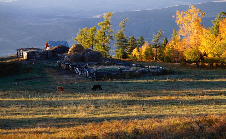 奧地利第一儲蓄銀行圖片