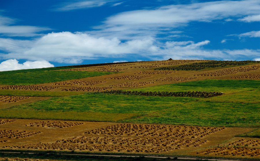 全北現(xiàn)代圖片