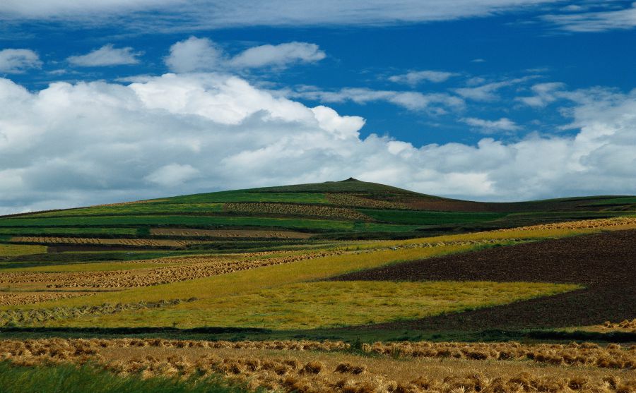 國際摩托車賽車協(xié)會(huì)（FIM）圖片