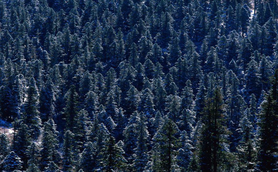 達(dá)姆施塔特工業(yè)大學(xué)圖片