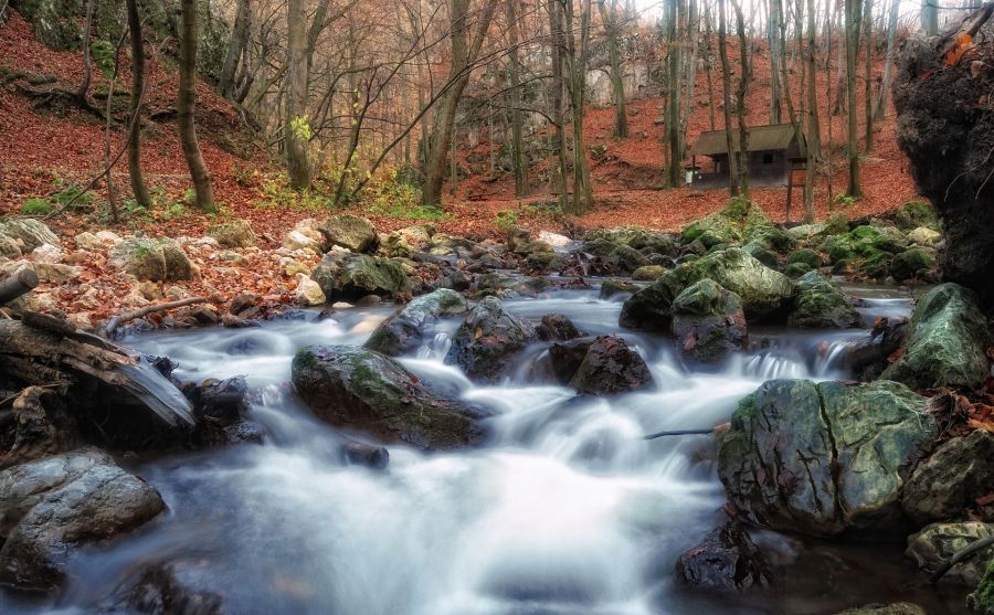 帶廣畜產(chǎn)大學圖片