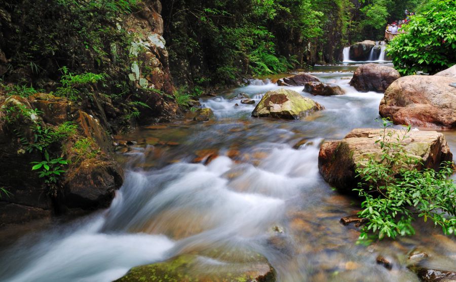里昂大學(xué)圖片