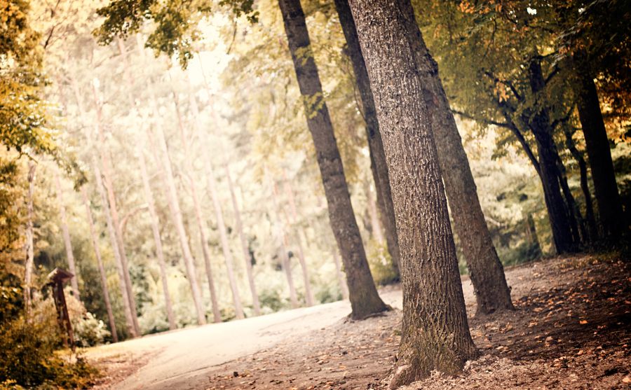 中國(guó)駐阿曼大使館圖片