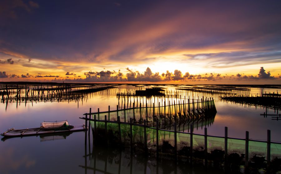 《經(jīng)濟學(xué)人》Economist圖片