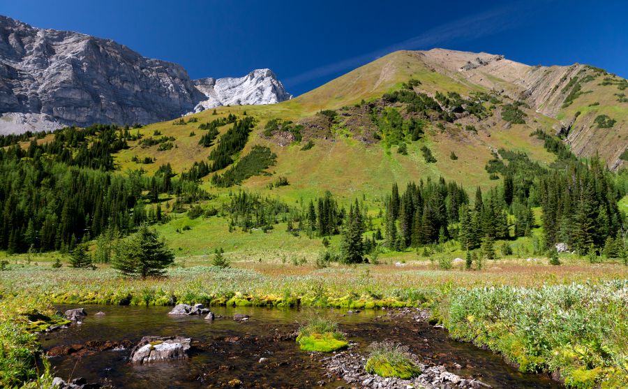 猶他爵士隊圖片