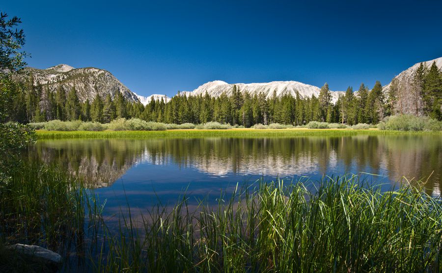 美國圖書館協(xié)會圖片
