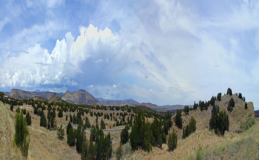 大力水手炸雞圖片