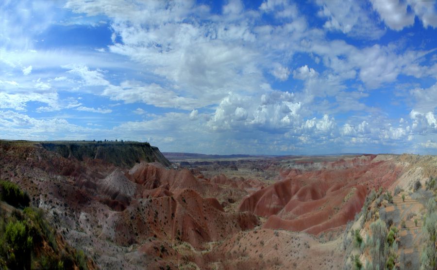 弗羅西諾內(nèi)美術(shù)學(xué)院圖片