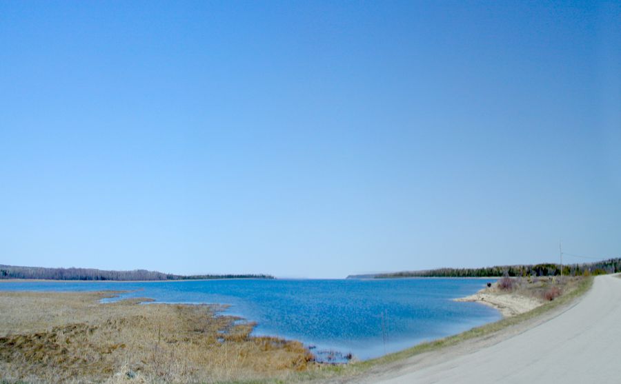 英國里卡多公司圖片