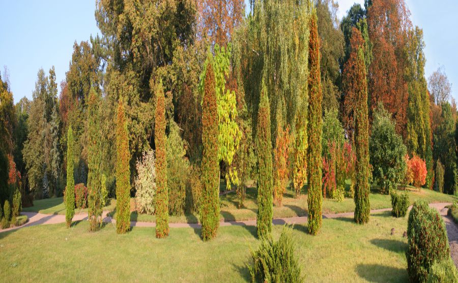 克拉約瓦電力機車廠圖片