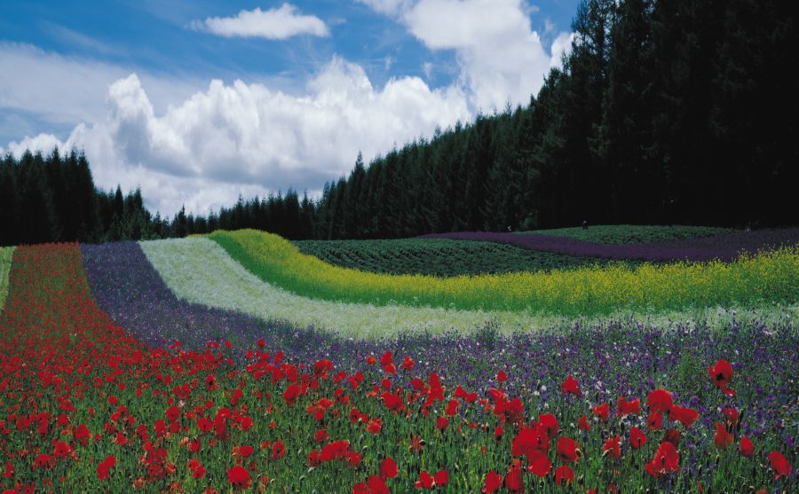 盧森堡大劇院圖片