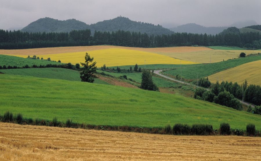 斯洛伐克旅游局圖片