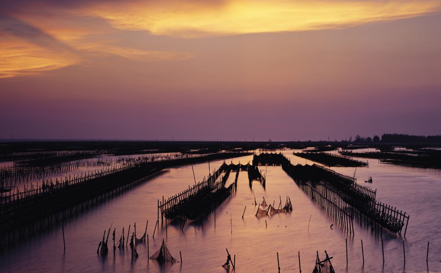 美股開戶網(wǎng)圖片