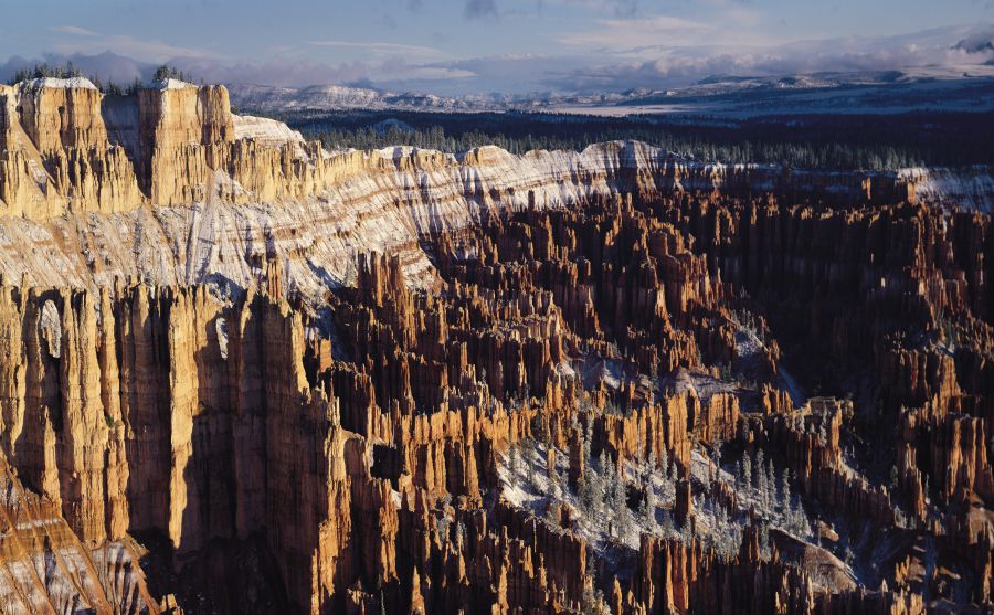 洛杉磯快船隊(duì)圖片