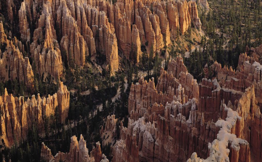 直播電視集團圖片