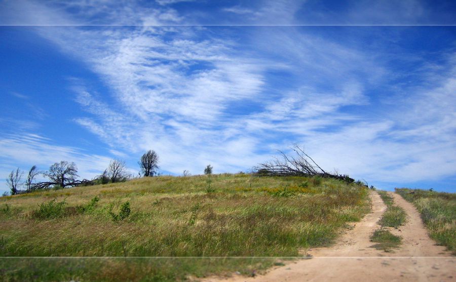 諾維奇足球俱樂部圖片