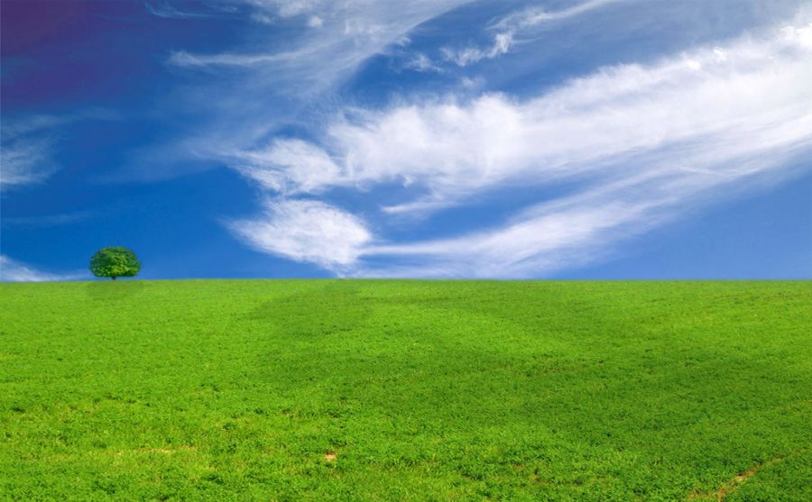 哈格-赫利爾理工大學圖片