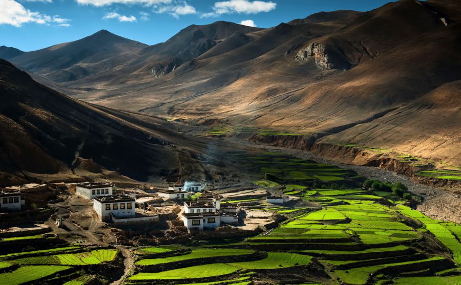 南非教育部圖片